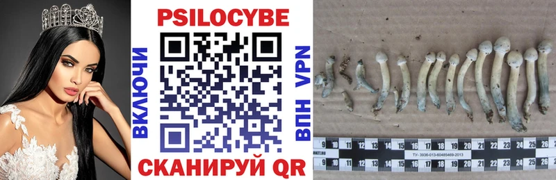 Галлюциногенные грибы Psilocybine cubensis  цены наркотик  Куса 